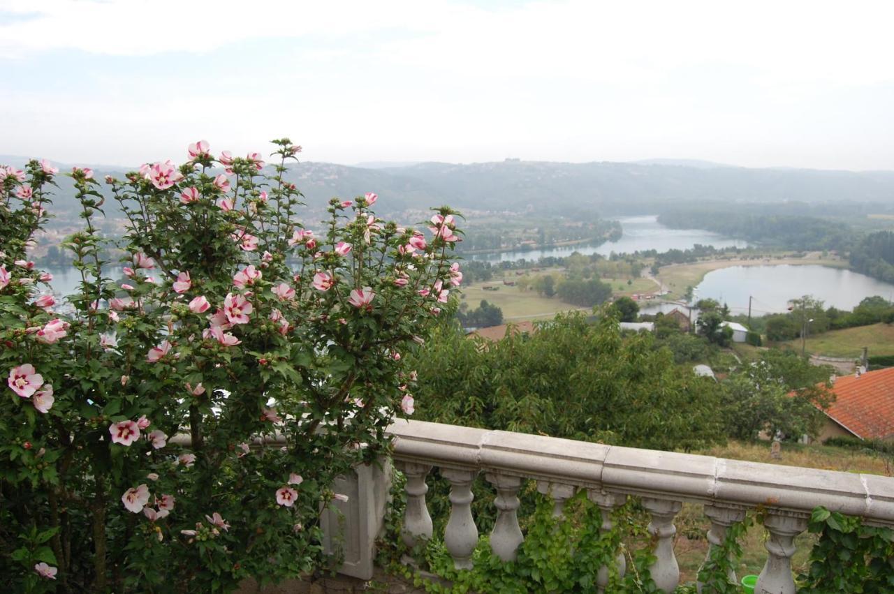 Villa Panoramique Saint-Clair-du-Rhone Exterior foto